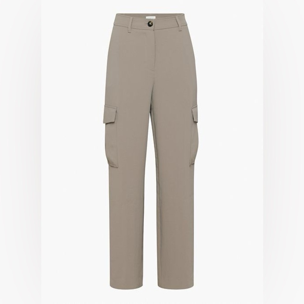 Aritzia Bridger Cargo Pant